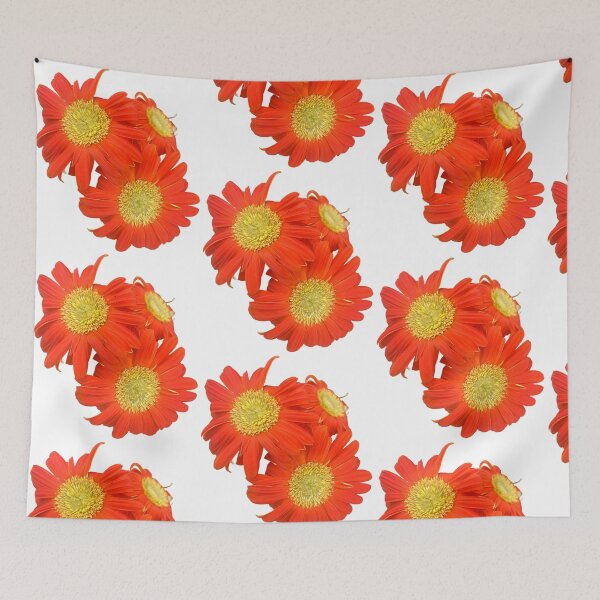Item preview, Orange daisy  designed and sold by Lauracolleen3.
