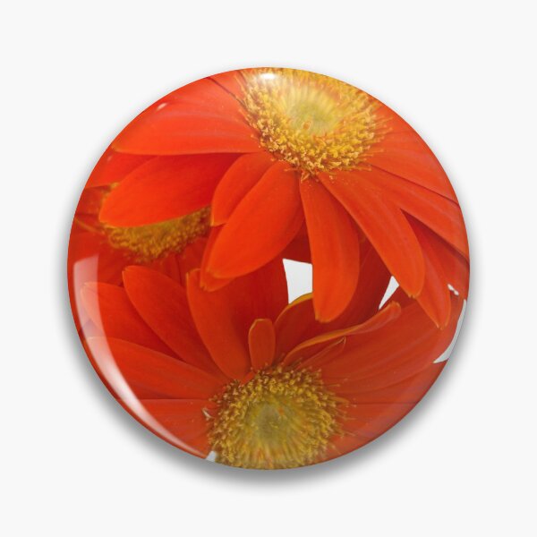 Item preview, Orange, daisy, flower, garden daisies  designed and sold by Lauracolleen3.