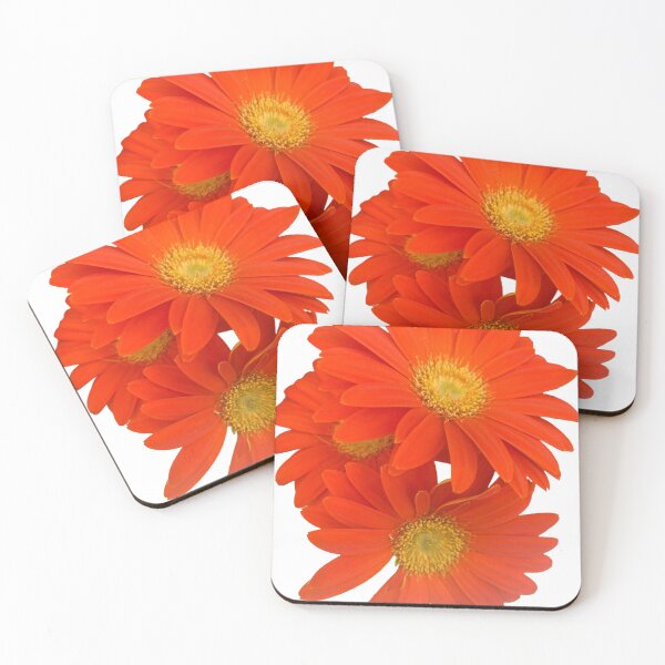 Item preview, Orange, daisy, flower, garden daisies  designed and sold by Lauracolleen3.