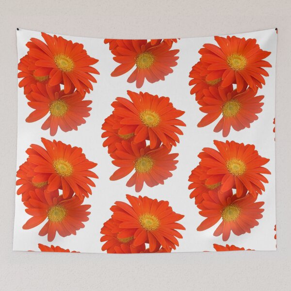Item preview, Orange, daisy, flower, garden daisies  designed and sold by Lauracolleen3.