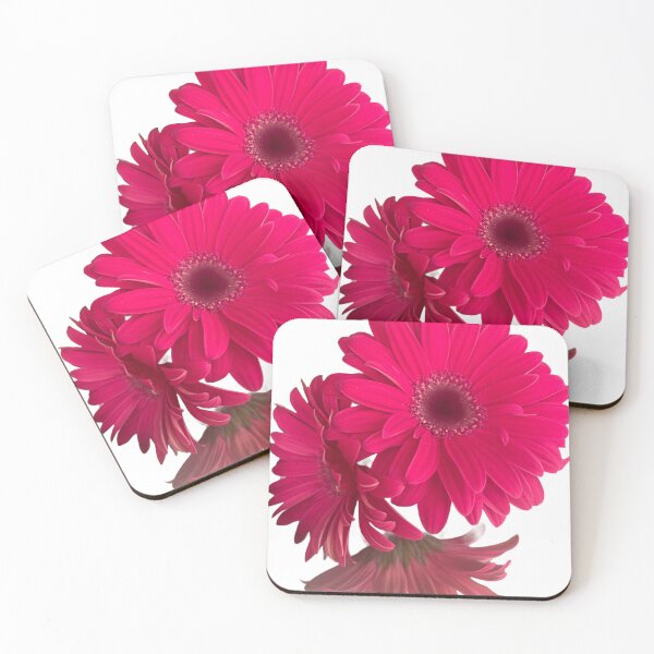 Item preview, Pink, daisy, flower, garden daisies  designed and sold by Lauracolleen3.