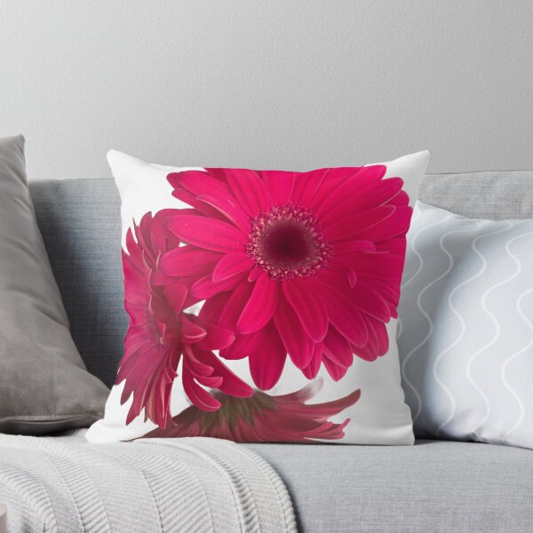 Item preview, Pink, daisy, flower, garden daisies  designed and sold by Lauracolleen3.