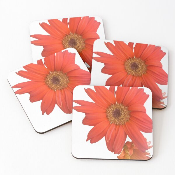 Item preview, Orange, daisy, flower, garden daisies  designed and sold by Lauracolleen3.