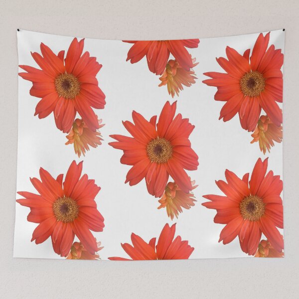 Item preview, Orange, daisy, flower, garden daisies  designed and sold by Lauracolleen3.