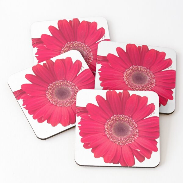 Item preview, Pink, daisy, flower, garden daisies  designed and sold by Lauracolleen3.