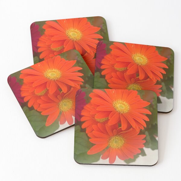 Item preview, Orange, daisy, flower, garden daisies  designed and sold by Lauracolleen3.