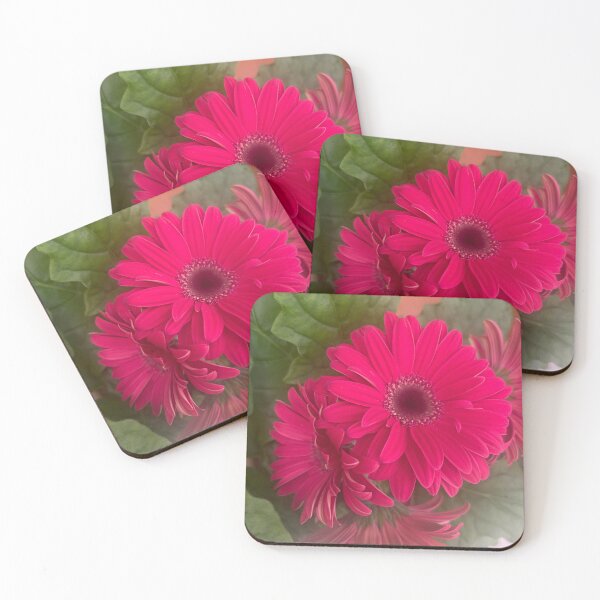 Item preview, Pink, daisy, flower, garden daisies  designed and sold by Lauracolleen3.