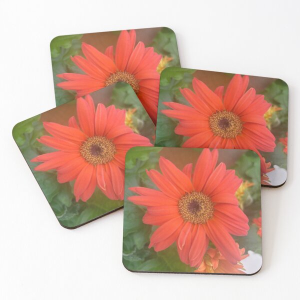 Item preview, Orange, daisy, flower, garden daisies  designed and sold by Lauracolleen3.