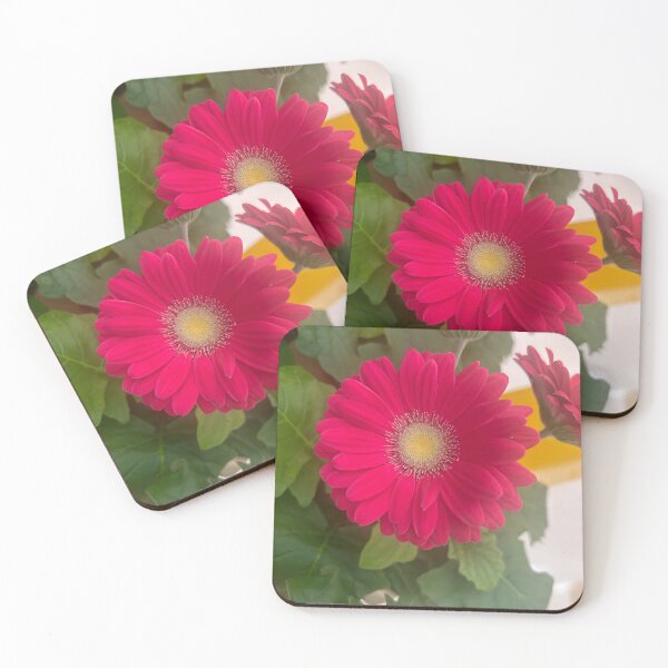 Item preview, Pink, daisy, flower, garden daisies  designed and sold by Lauracolleen3.