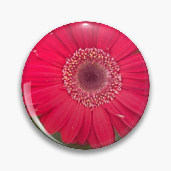 Item preview, Pink, daisy, flower, garden daisies  designed and sold by Lauracolleen3.