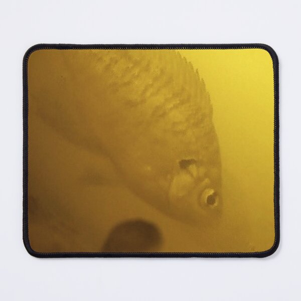 Item preview, Underwater Bluegill in Muddy Water  designed and sold by CJRPics.