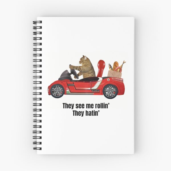 Item preview, They see me rollin' They hatin' cat with his groceries designed and sold by SirenSeventyOne.