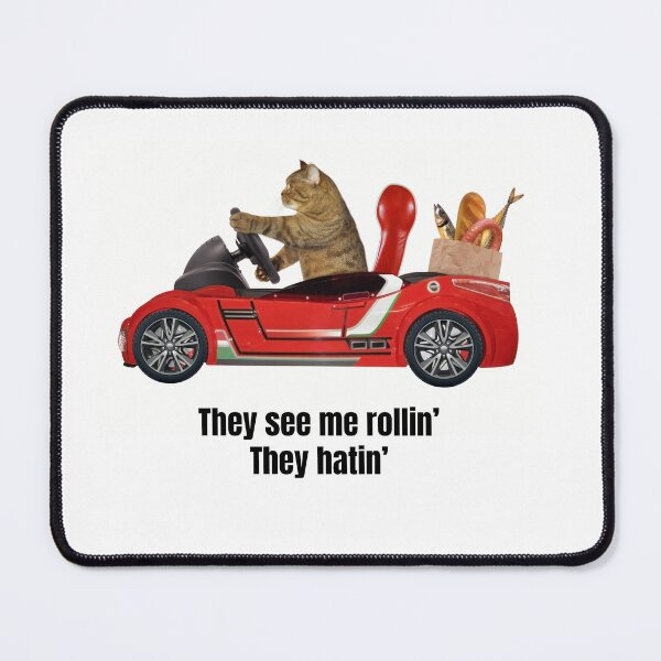 Item preview, They see me rollin' They hatin' cat with his groceries designed and sold by SirenSeventyOne.