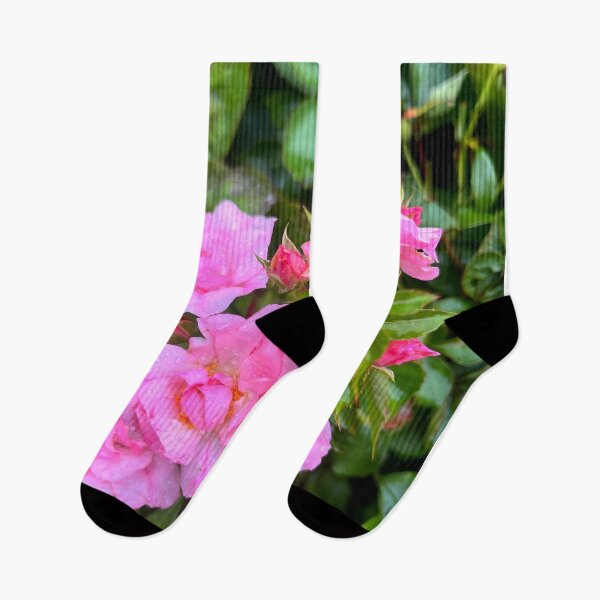 Item preview, Roses designed and sold by NatsVision.