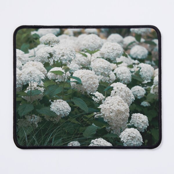 Item preview, Retro-Filtered White and Green Hydrangea Bush designed and sold by CountyKent.