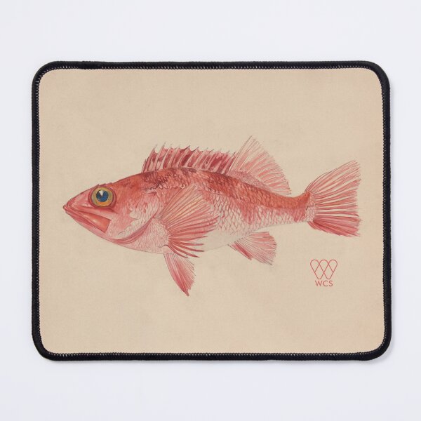 Item preview, Hudson Canyon Blackbelly Rosefish designed and sold by WCS-Archives.