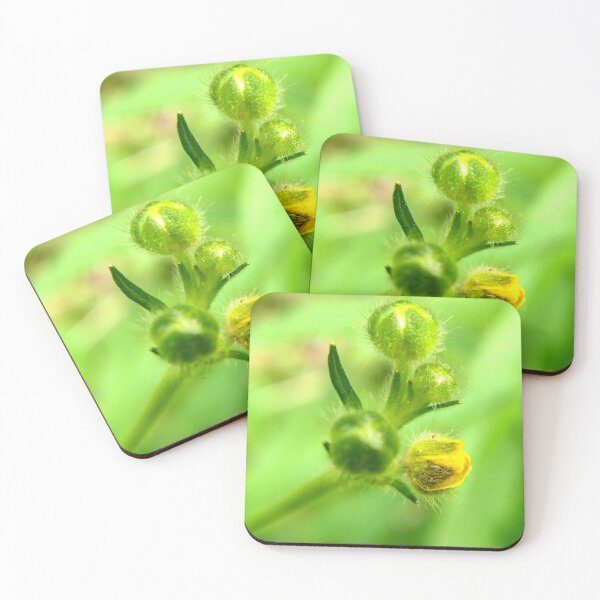 Item preview, Early spring blooming  designed and sold by NatsVision.