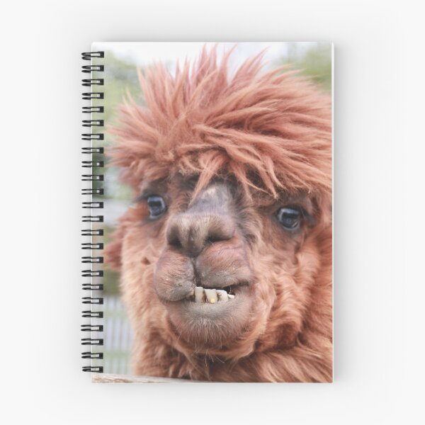 Item preview, Alpaca grin funny designed and sold by LH-Creations.