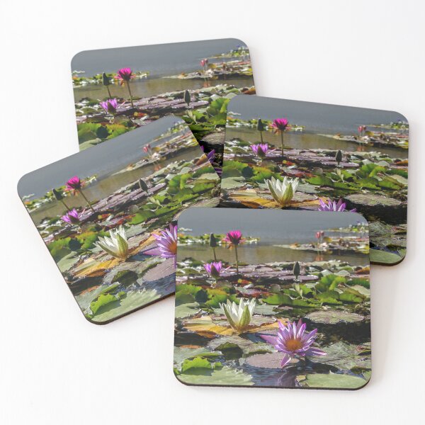 Item preview, Wonderful Waterlillies designed and sold by heatherfriedman.