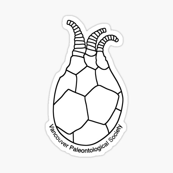 Item preview, Marsupites c.f. testudinarius (Crinoid): Fossils of BC designed and sold by VanPaleoSociety.