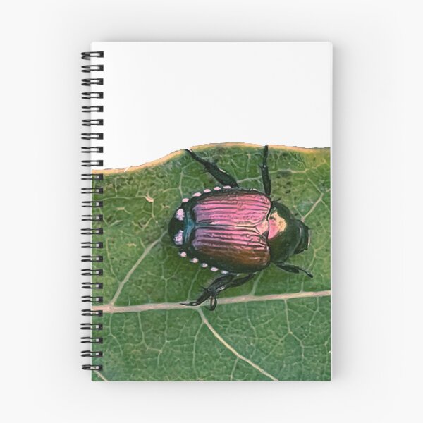 Item preview, Japanese Beetle designed and sold by Carbon Based Lifeforms.