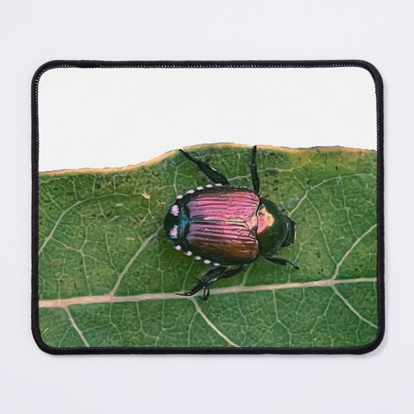 Item preview, Japanese Beetle designed and sold by Carbon Based Lifeforms.