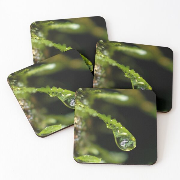 Item preview, Perspectives designed and sold by Carbon Based Lifeforms.