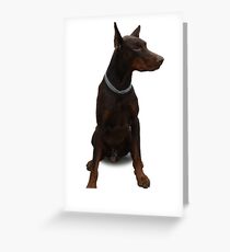 Dobermann Greeting Card