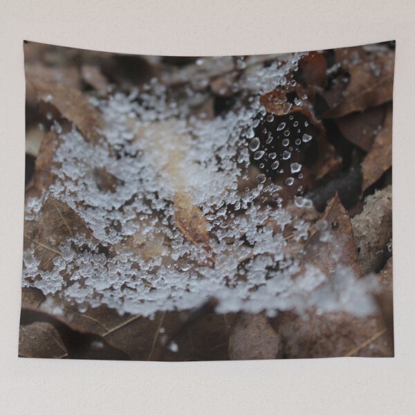 Item preview, An Icy Cobweb designed and sold by PeppermintClove.
