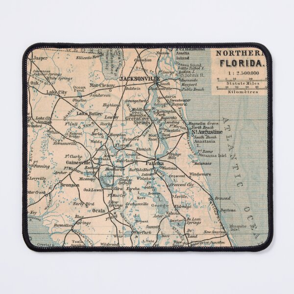 Item preview, Northern Florida around 1894: Vintage city map for local patriots and travelers designed and sold by RetroTraveller.