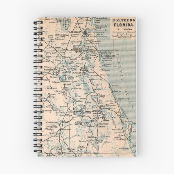 Artikelvorschau, Northern Florida um 1894: Vintage Stadtplan für Lokalpatrioten und Traveller entworfen und verkauft von RetroTraveller.