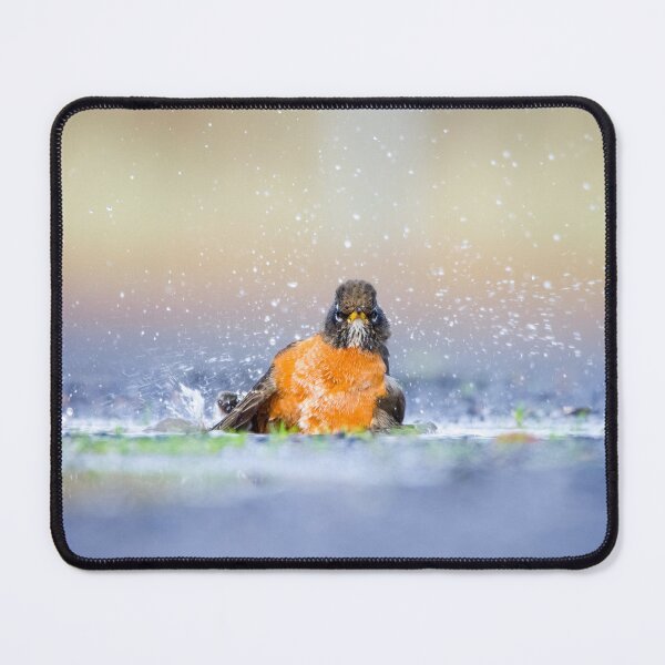 Item preview, American Robin designed and sold by herongirlart.