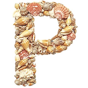 Artwork thumbnail, SHELLS LETTER P by ART-TYPE