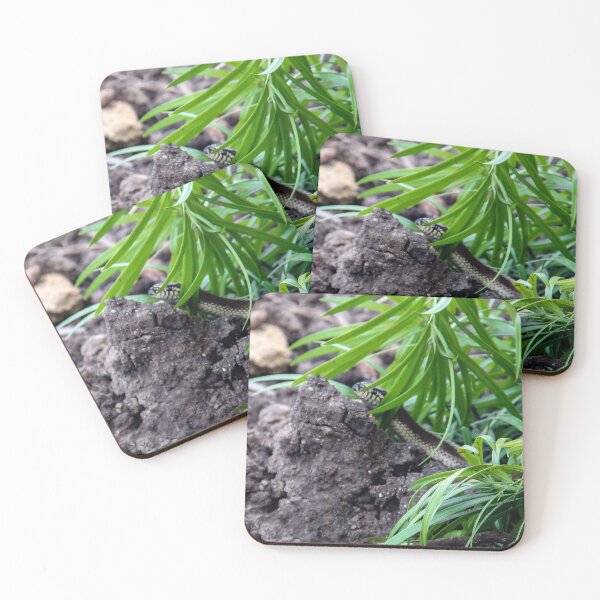 Item preview, Here I Come! designed and sold by heatherfriedman.