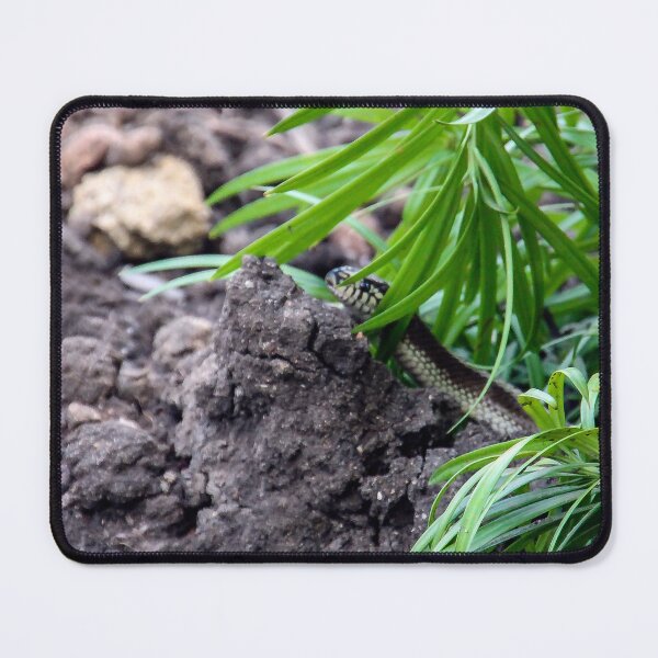 Item preview, Here I Come! designed and sold by heatherfriedman.