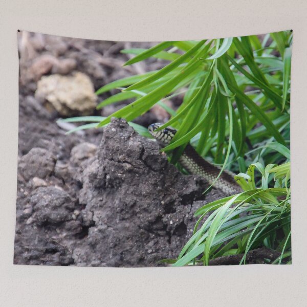 Item preview, Here I Come! designed and sold by heatherfriedman.