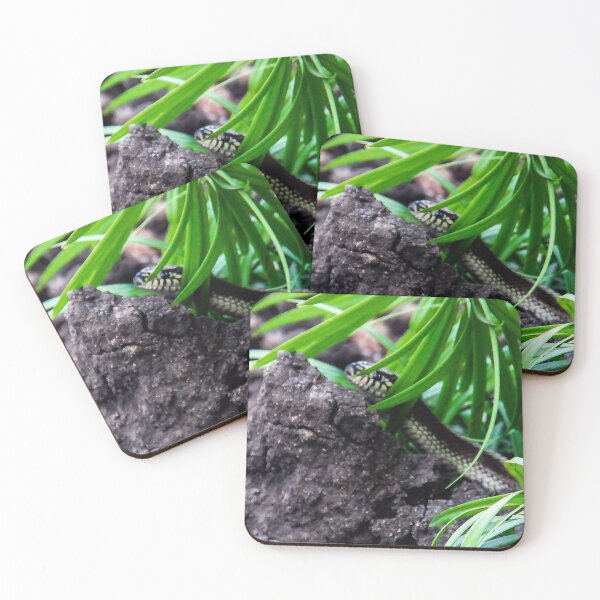 Item preview, Don't Leave, I'm Not Poisonous! designed and sold by heatherfriedman.
