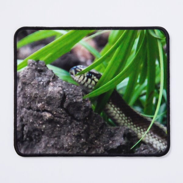 Item preview, Don't Leave, I'm Not Poisonous! designed and sold by heatherfriedman.