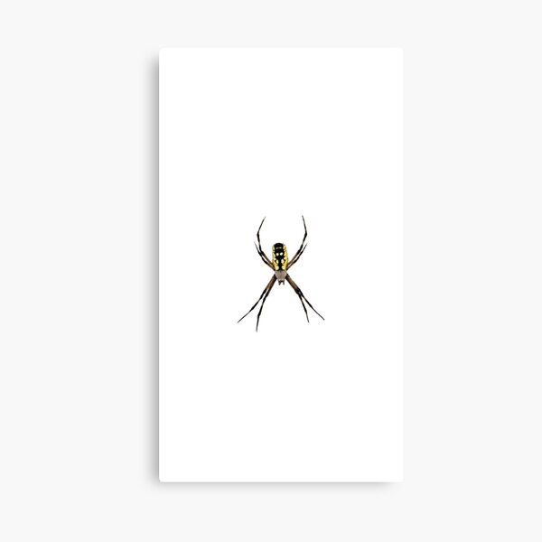 Item preview, YELLOW ORB WEAVER SPIDER  designed and sold by Chili Cake.