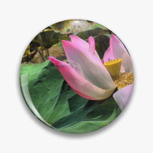 Item preview, Lotos Pink designed and sold by Larry Davis.