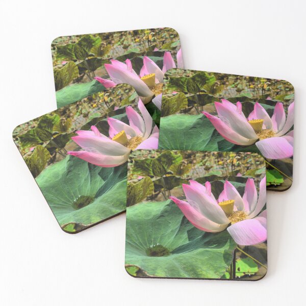 Item preview, Lotos rosa designed and sold by Larry Davis.