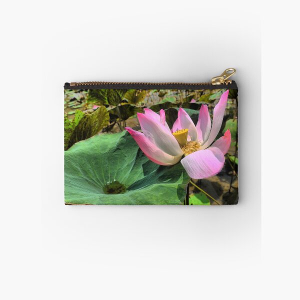 Item preview, Lotos Pink designed and sold by Larry Davis.