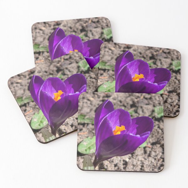 Item preview, La primavera está brotando designed and sold by Betsy Phillips.