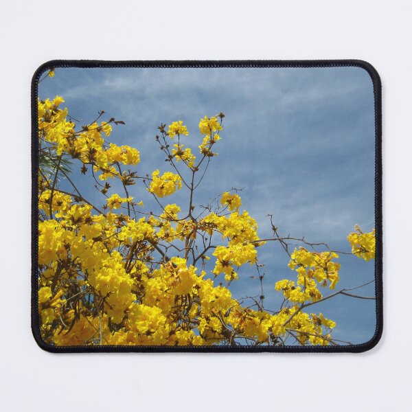 Item preview, Golden Trumpet Tree Reaching Into the Blue Sky designed and sold by JoyousArt4u.