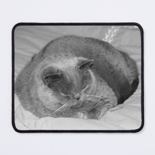 Item preview, British Shorthair Cat ~ Snoozing designed and sold by SummerJade.