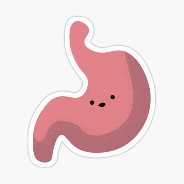 Stomach Pal Sticker