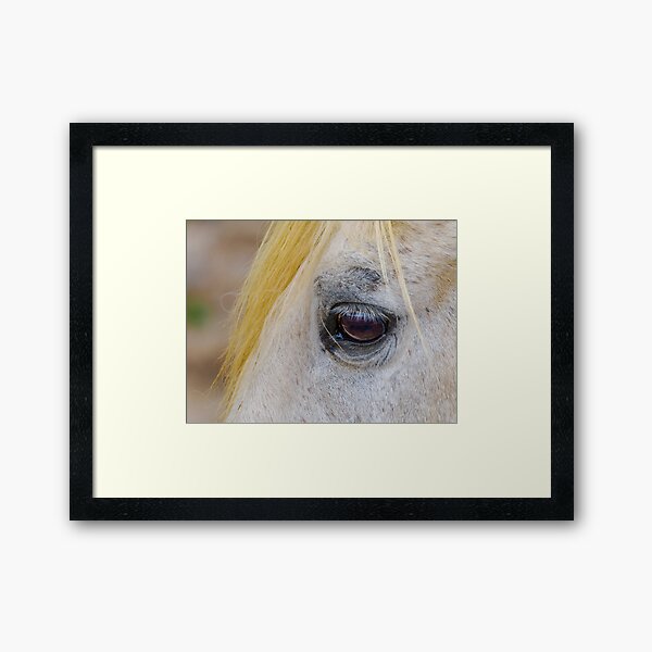 Item preview, Equine Eye designed and sold by Ralph Goldsmith.