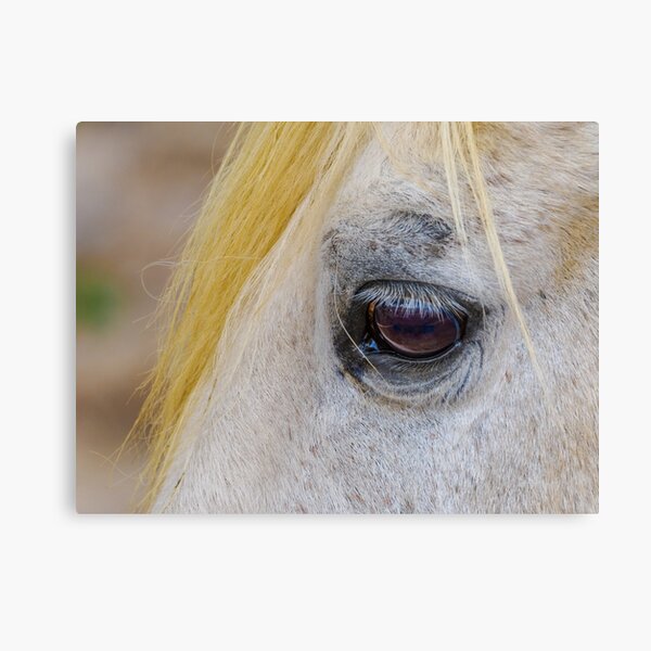 Item preview, Equine Eye designed and sold by Ralph Goldsmith.