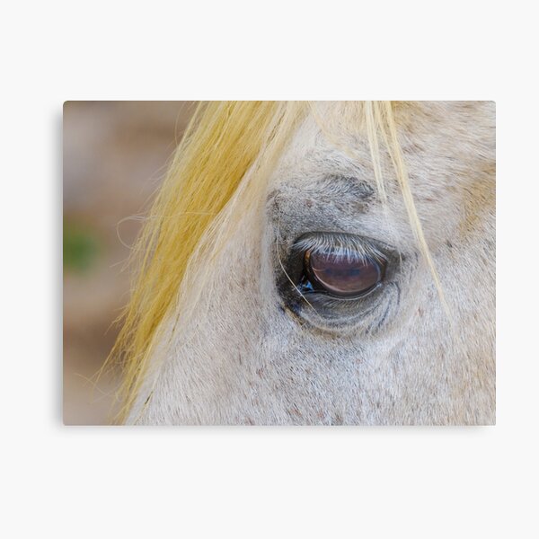 Item preview, Equine Eye designed and sold by Ralph Goldsmith.