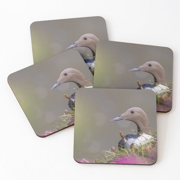 Artikelvorschau, guillemot entworfen und verkauft von AliMarleyPhoto.
